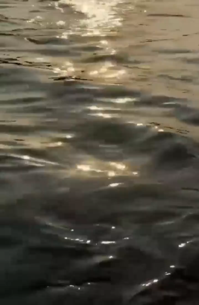 Har Har Gange