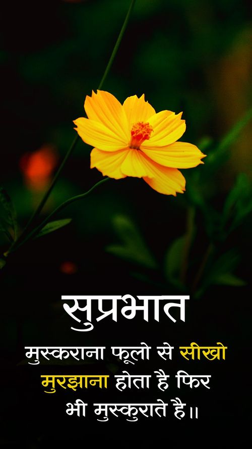 Muskurana fhulo se sikho murjana hota hai fir bhi mushkurate hai